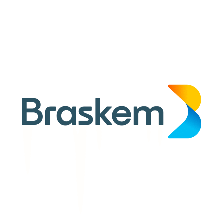 BRAKSEM
